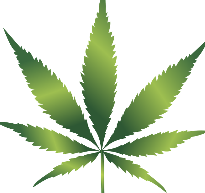 marijuana
