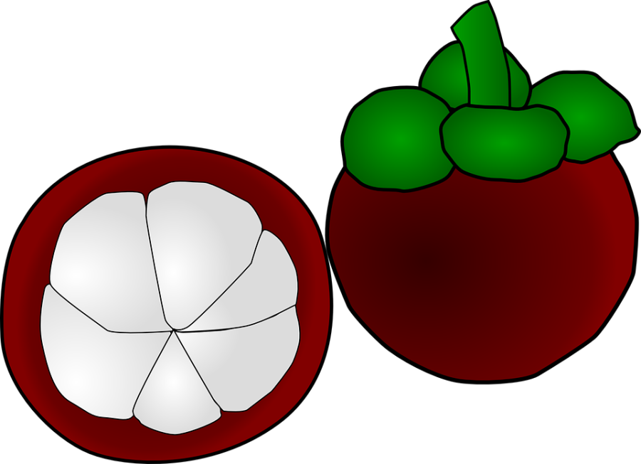 Garcinia cambogia
